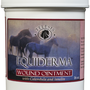 T.T. Distributors Equiderma Wound Ointment