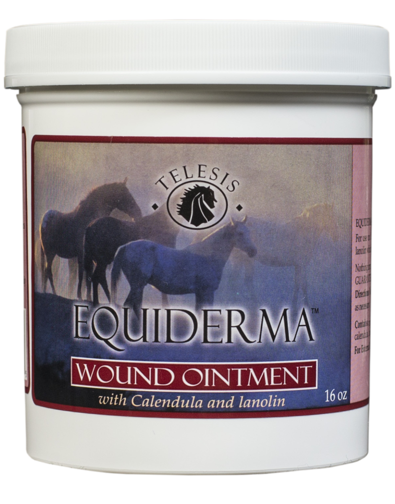 T.T. Distributors Equiderma Wound Ointment