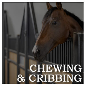 Chewing & Cribbing